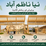 Naya Nazimabad: Property and Living Guide
